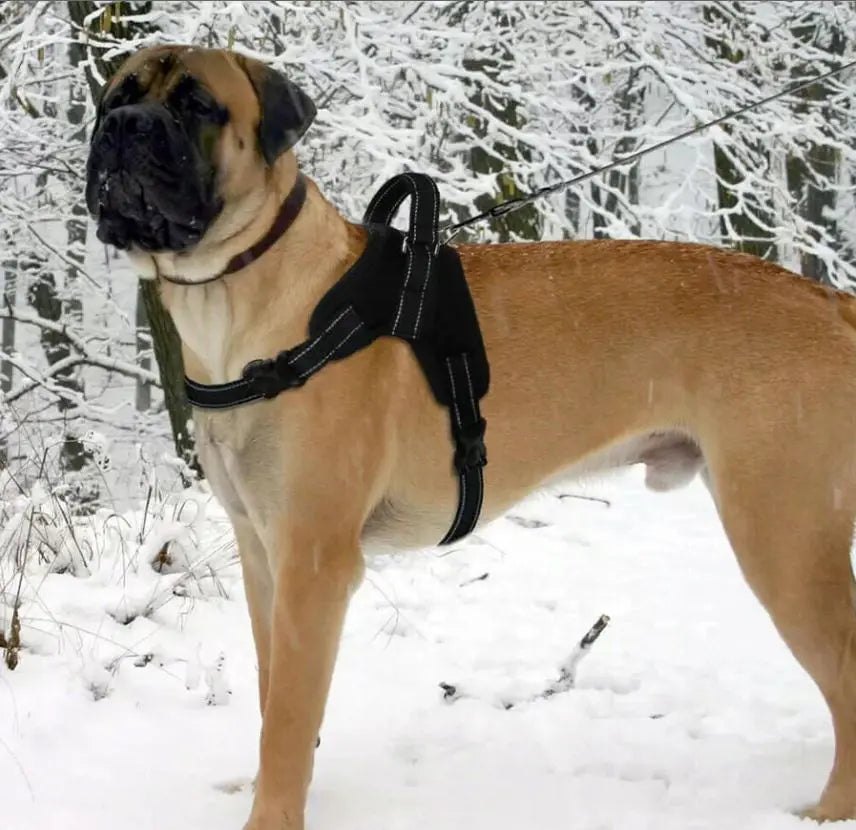 Spēcīgas vieglas jostas bez spiediena sunim, izmērs L (668D)