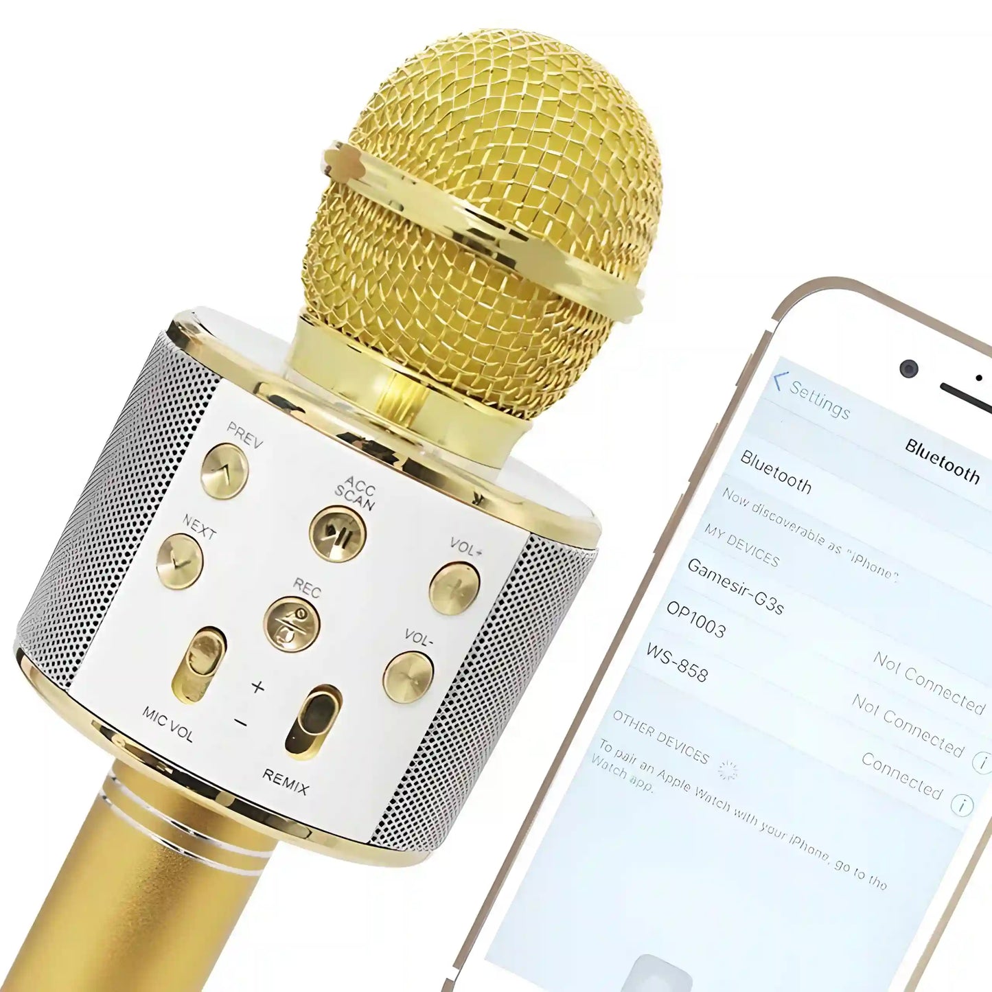 Karaoke skaļrunis ar mikrofonu, bluetooth, 4 balsu stili, 5 stundu darbs, zelta (366D)