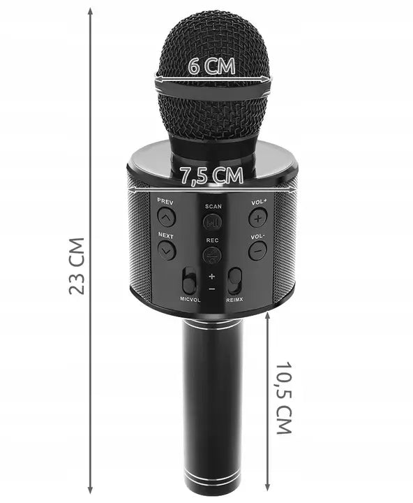 Колонка для караоке с микрофоном, Bluetooth, 4 стиля голоса, 5 часов работы, черный (365D)